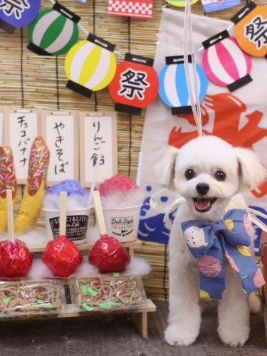 20240716小雪ちゃん